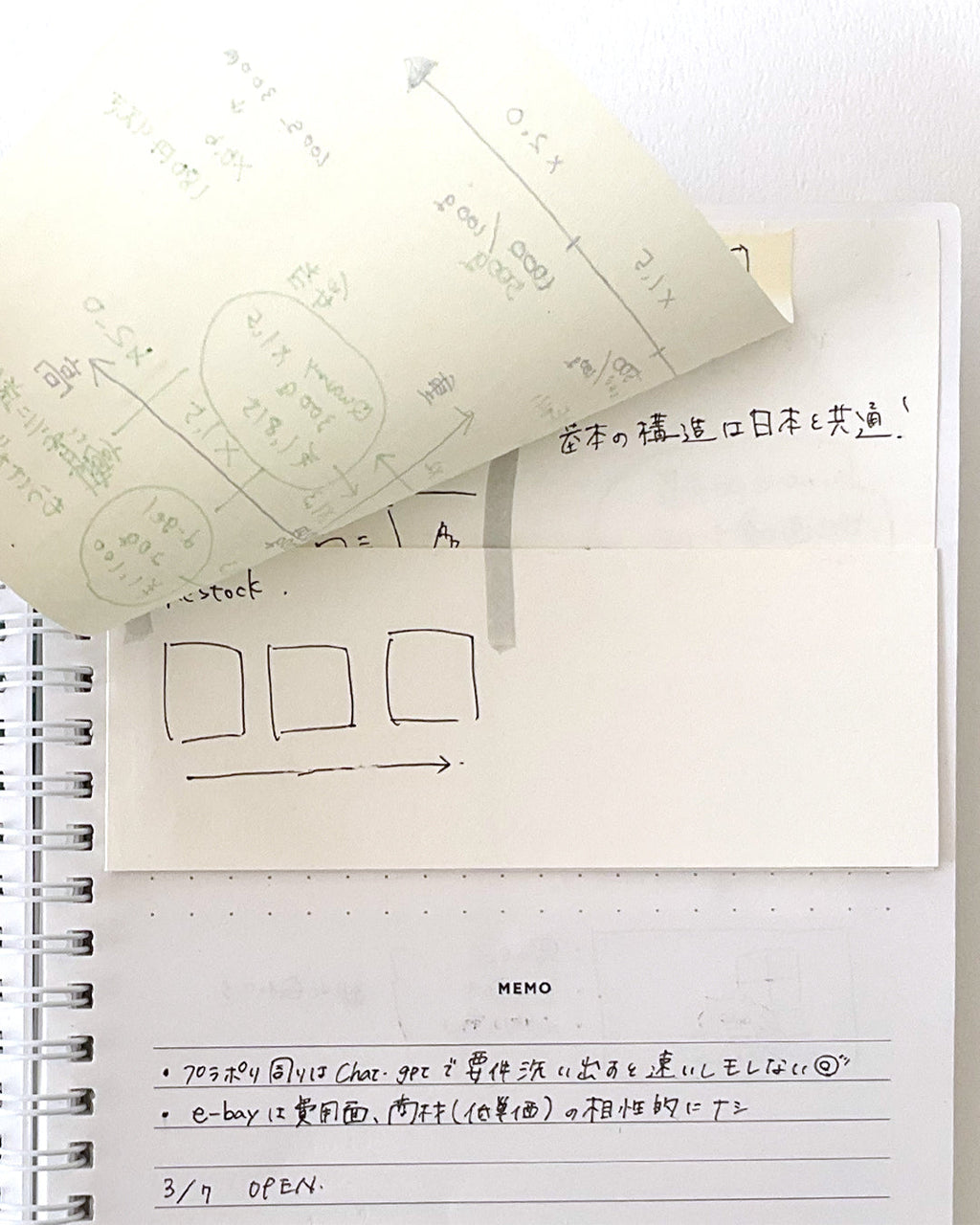 Project plan notebook / Potential