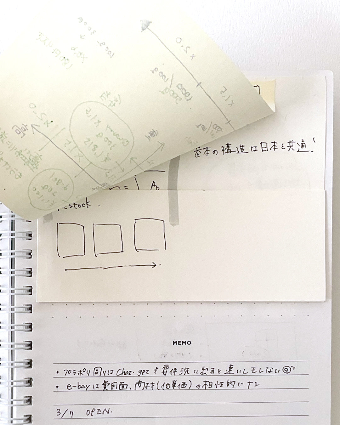 Project plan notebook / Potential