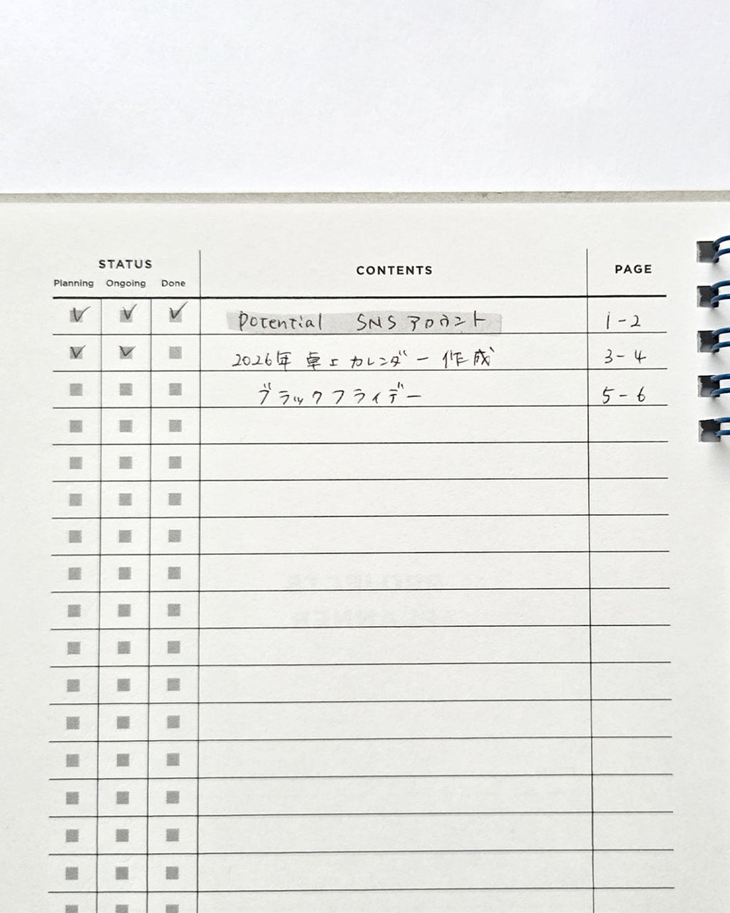 Project plan notebook / Potential