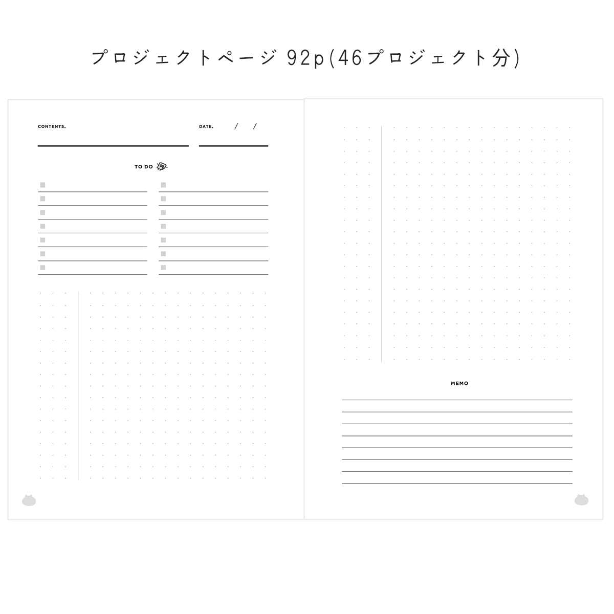 Project plan notebook / Potential