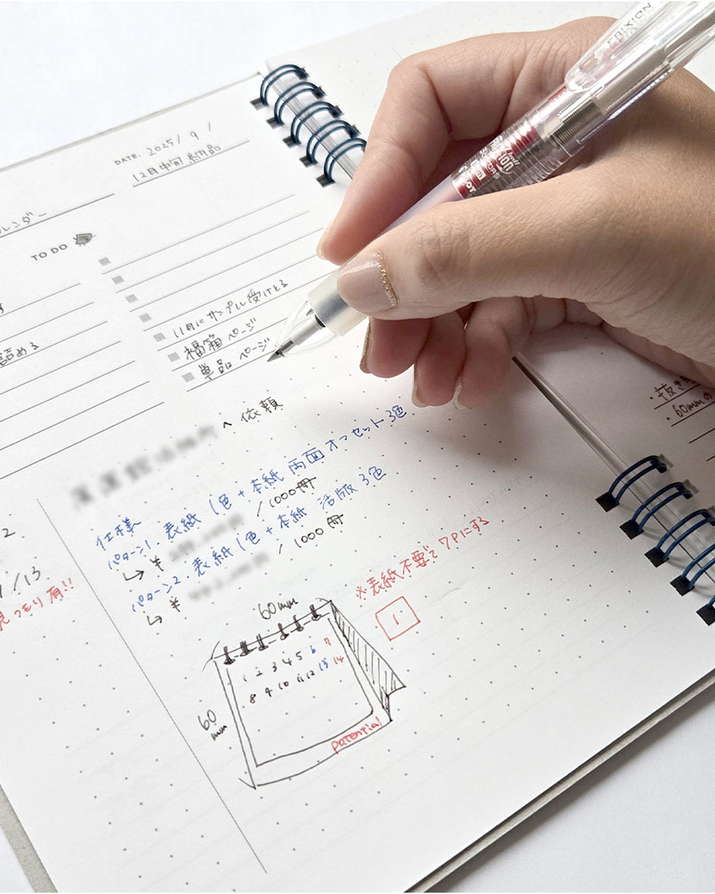Project plan notebook / Potential