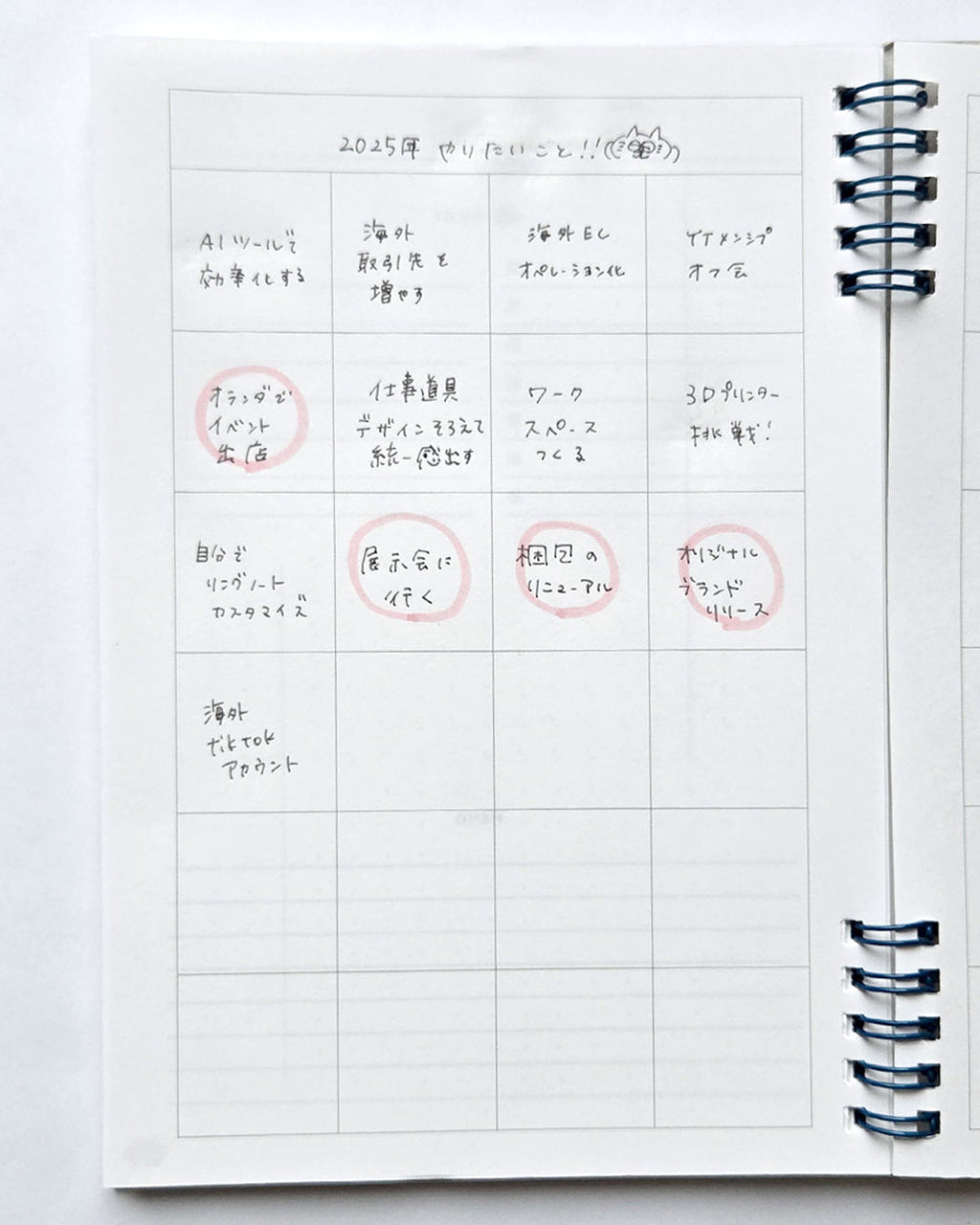 Project plan notebook / Potential