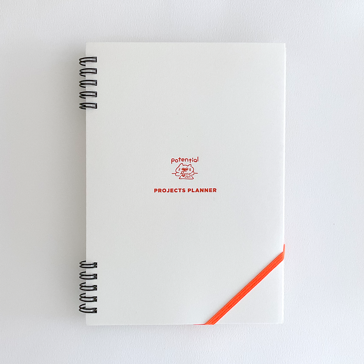 Project plan notebook / Potential